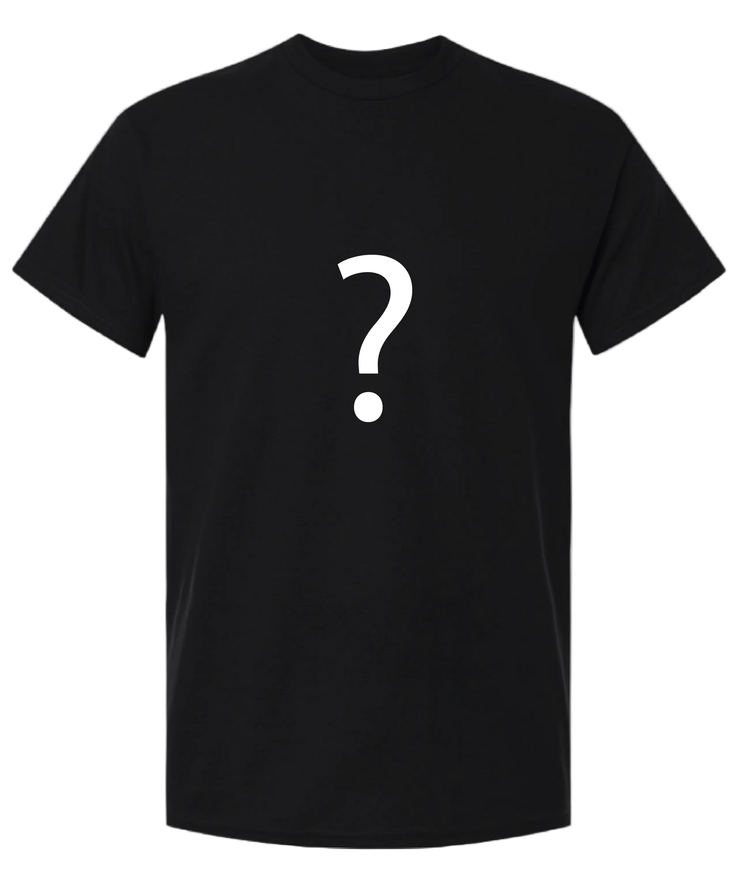 $6.66 Mystery Shirt